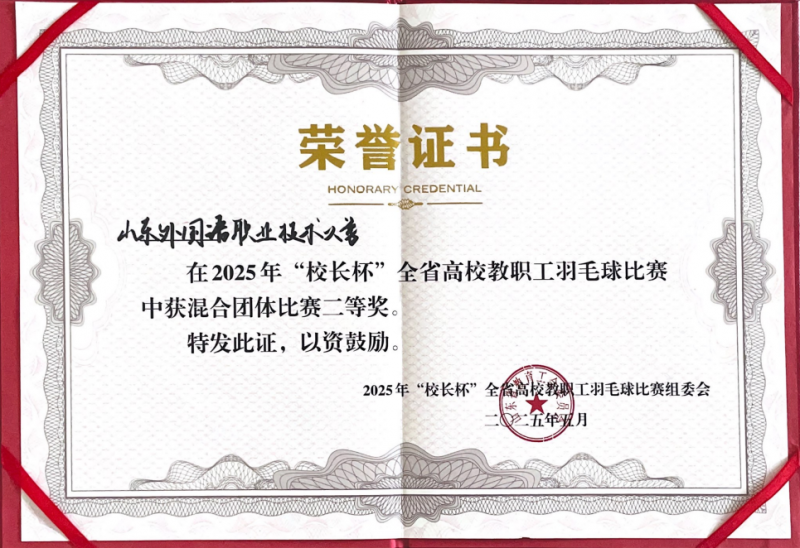 混合團(tuán)體比賽二等獎(jiǎng).png